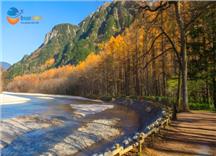[HCM] Tour Thiết Kế Nhật Bản 7N6Đ: Thung Lũng Kamikochi